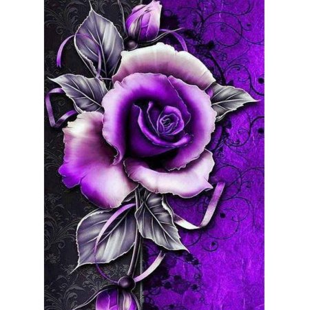 Роза фиолетовая