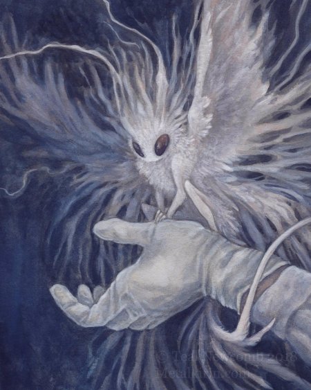 Брайан фрауд