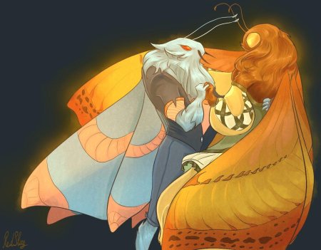 Фурри мотылек