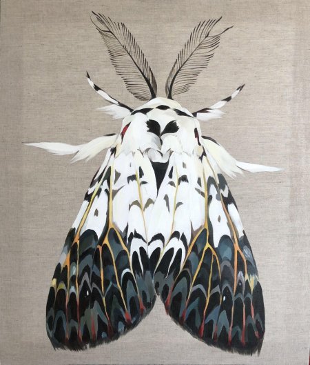 Мотылек moth art
