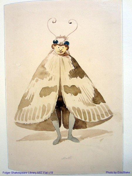 Тутовый шелкопряд бабочка