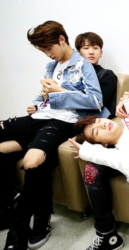 Чанликсы stray