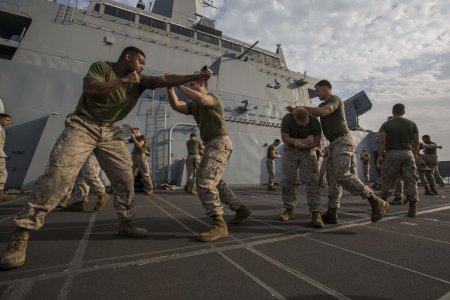Marine corps martial arts program