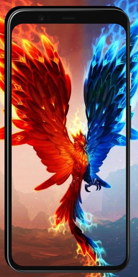 Феникс анка