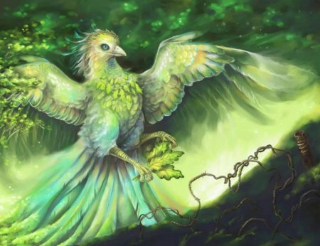 Волшебная птица