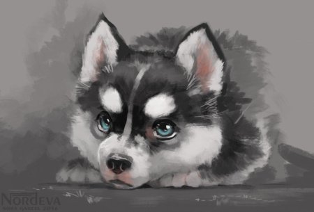 Сибирский хаски арт