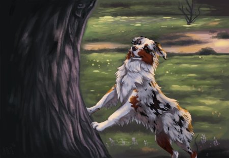 Австралийская овчарка аусси арт