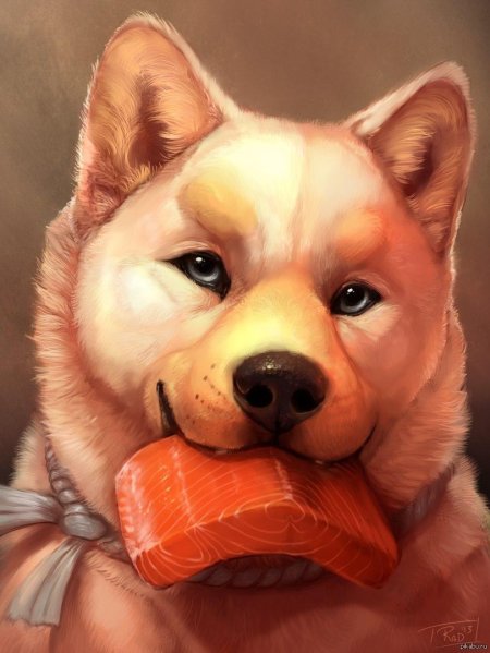 Собака акита ину