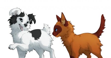 Арты кошек и собак