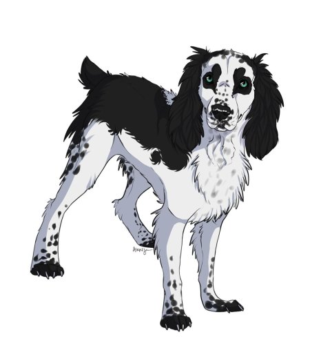 Русский кокер спаниель