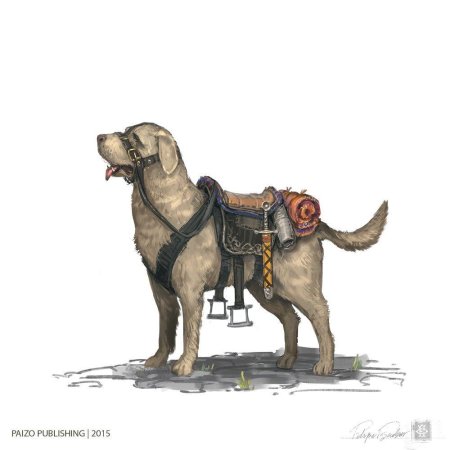 Ездовая собака днд