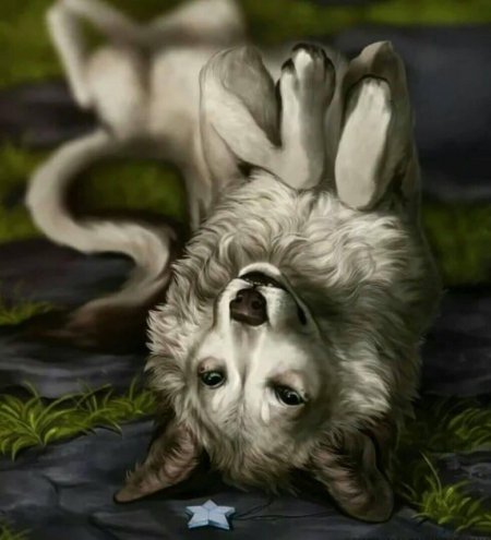 Мистические собаки