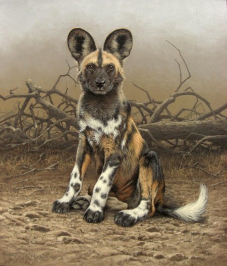 Африканская гиеновая собака