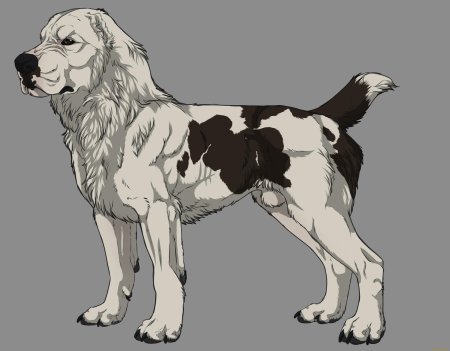 Собака среднеазиатская овчарка