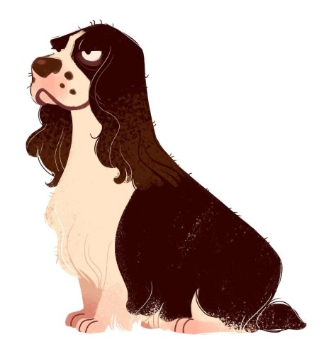 Кокер спаниель референс