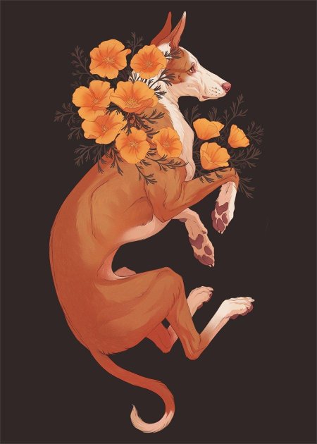 Иллюстрации с животными