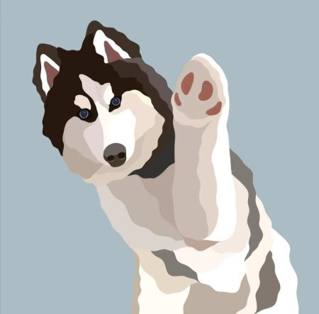 Сибирский хаски