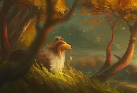 Собаки фэнтези