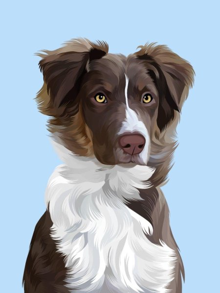 Собака портрет