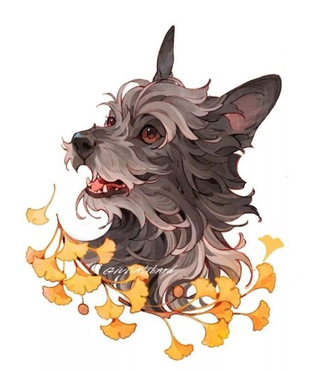 Эскиз животного