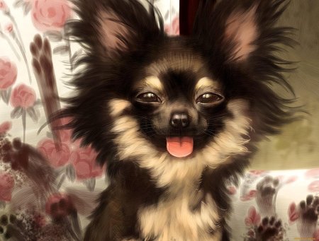 Порода собак папильон