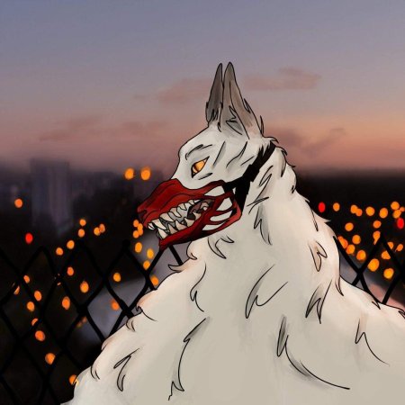 Волчий дождь киба волк