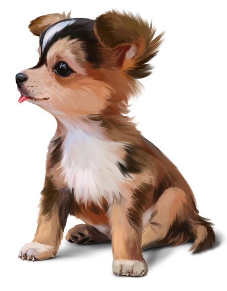 Собака милая рисунок