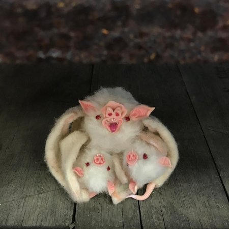 Белая летучая мышь альбинос