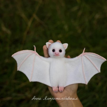 Белая летучая лисица альбинос