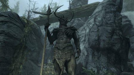 Скайрим броня хирсина