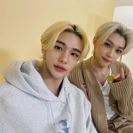 Хёнликсы стрэй