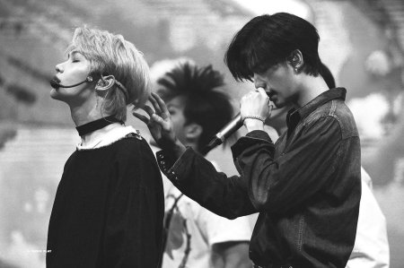 Хёнликсы стрэй