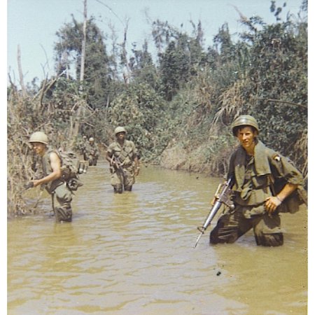 Пехотная дивизия сша во вьетнаме