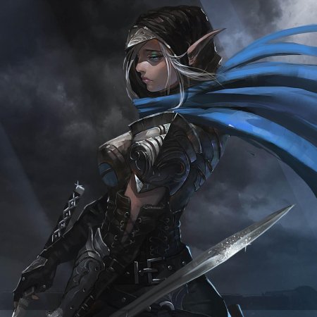 Эльфийка воин с кинжалом