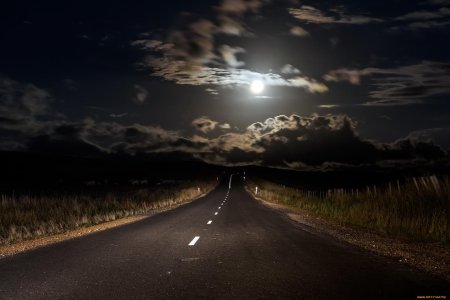 Дорога дорог