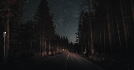 Дорога в лесу ночью