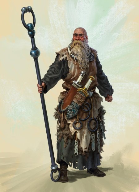 Викинг колдун