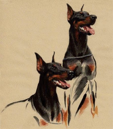 Доберман пинчер арт