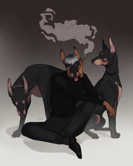 Доберман и овчарка арт