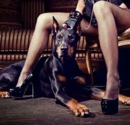 Ирина шейк с доберманом