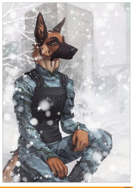 Фурри доберман