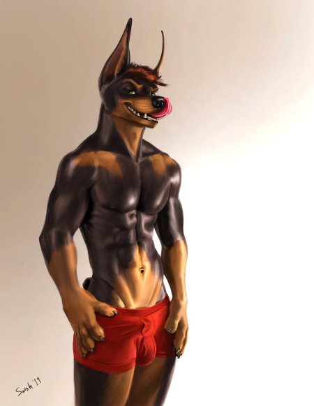 Фурри доберман