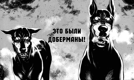 Доберман оскал арт
