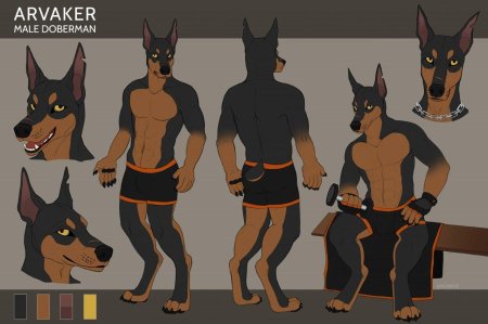 Фурри доберман