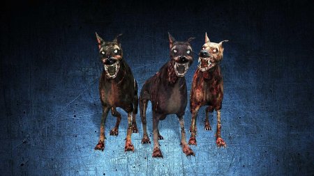 Собака зомби