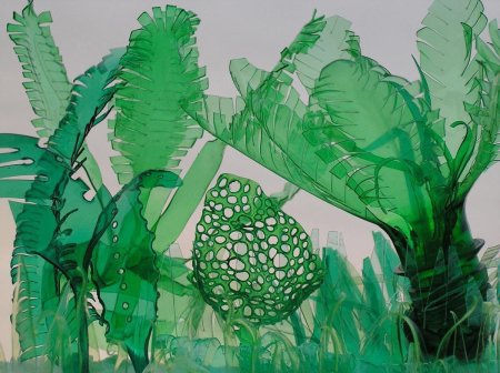 Кактусы вероника рихтерова