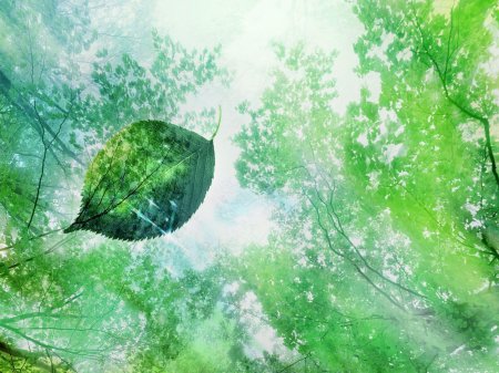 Экология фон