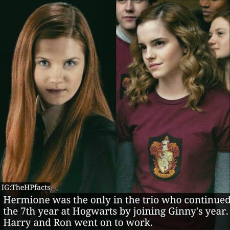 Гарри поттер гермиона грейнджер