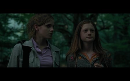 Harry potter hermione granger