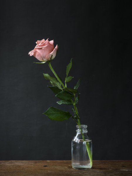 Натюрморт цветов